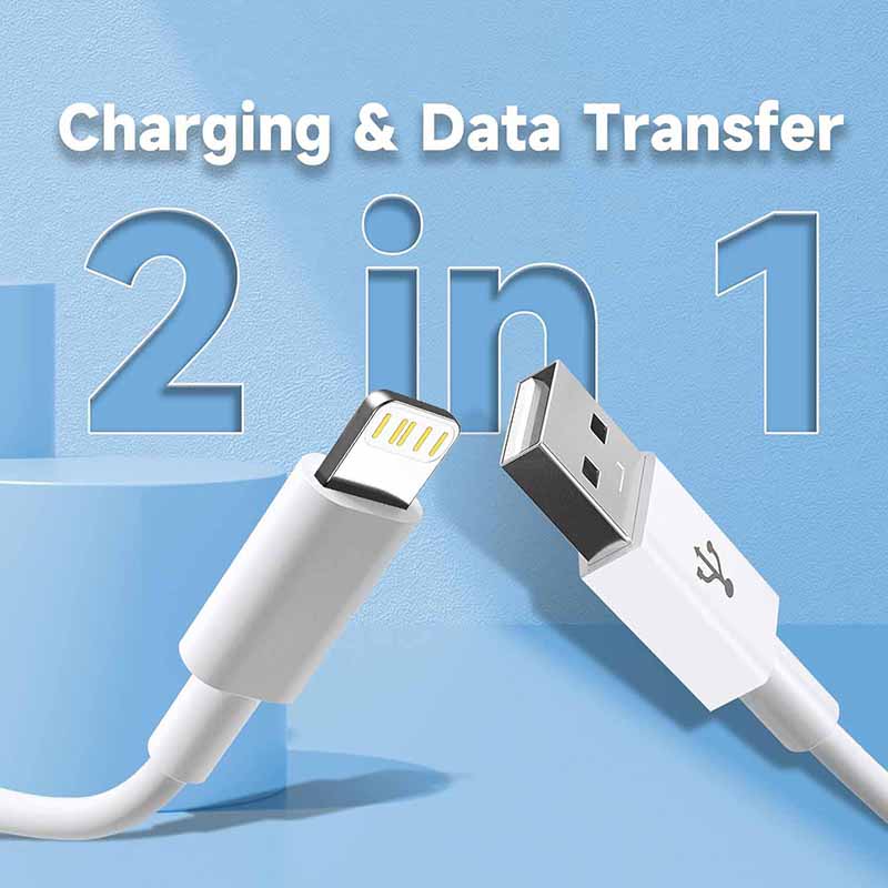USB A naar Lightning kabel voo - Tech Accessories Apple recensie en prijs